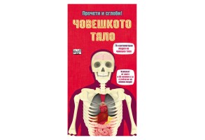 Човешкото тяло
