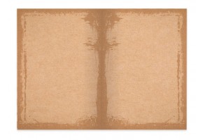 Таен дневник с катинарче CRAFT